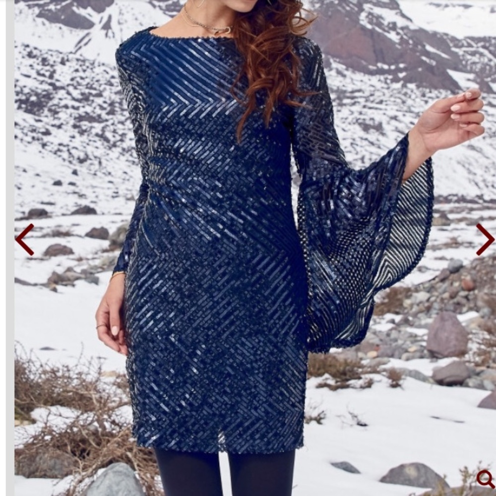 Altard state sequin dress